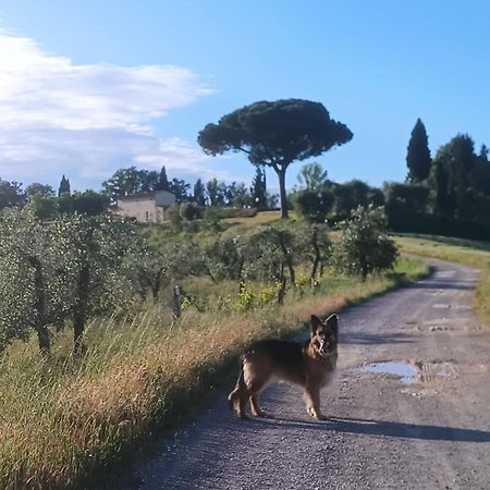 Casale La Giara Lägenhet Sorrezzana Exteriör bild