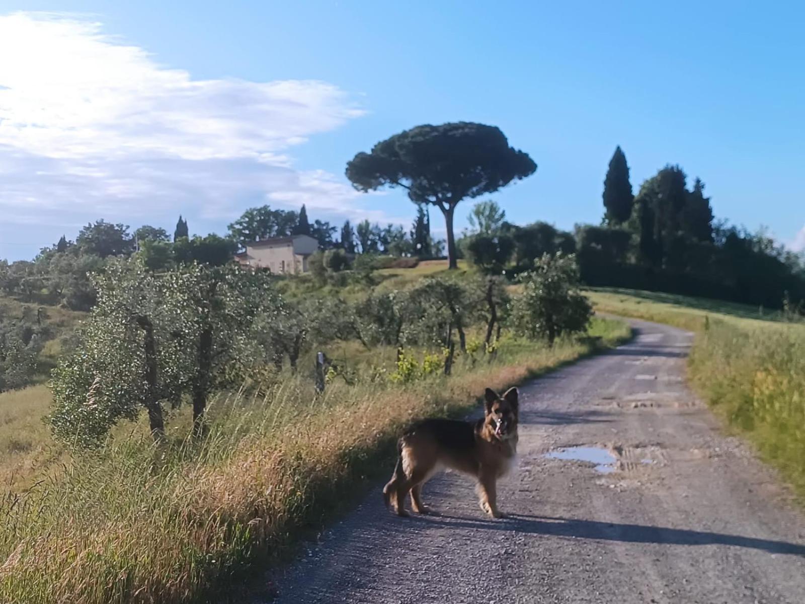 Casale La Giara Lägenhet Sorrezzana Exteriör bild